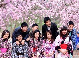International Contemporary Japanese Scholarship Program, Kwansei Gakuin University, Japan, 2017-2018
