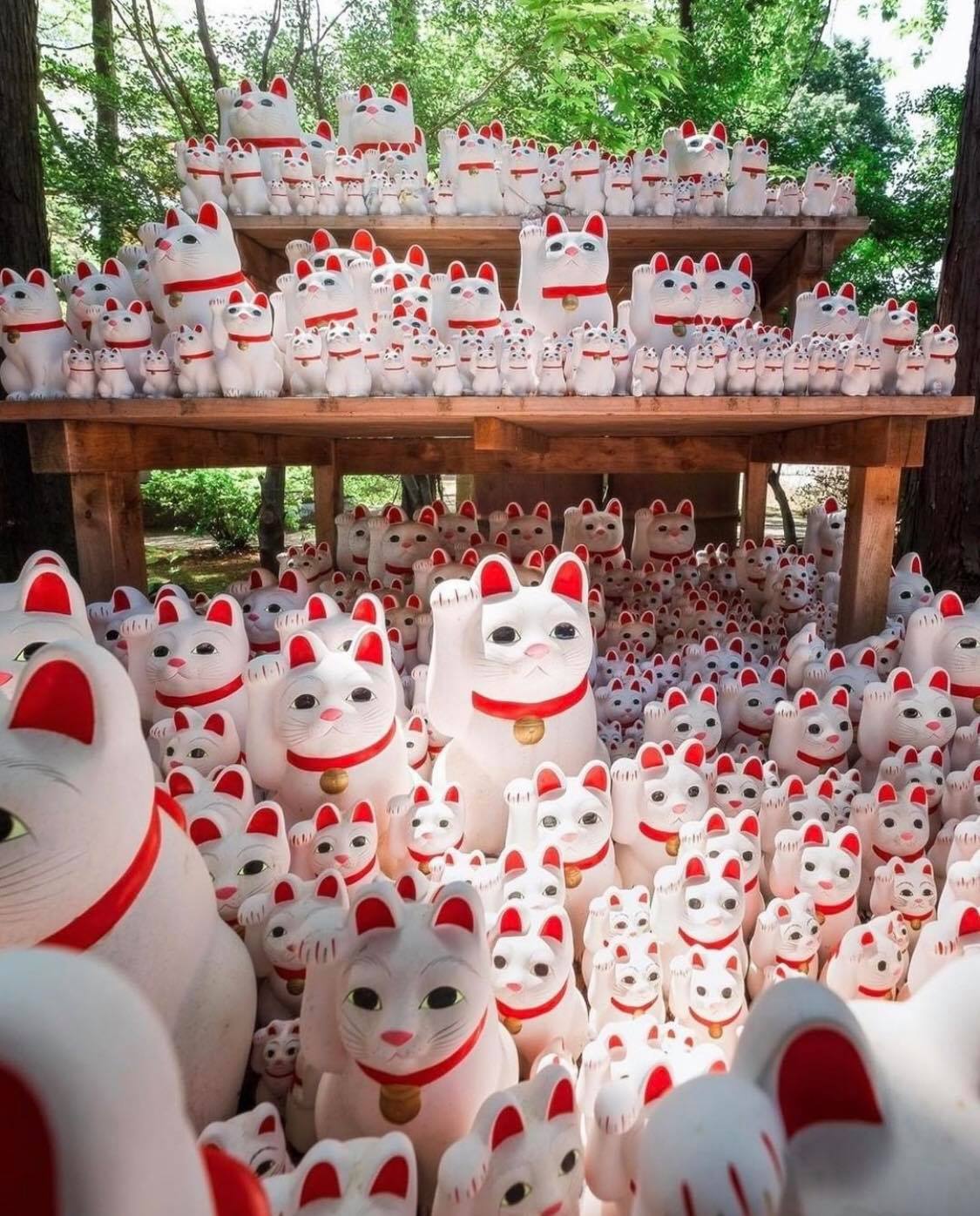 DU HỌC NHẬT BẢN 2022: Đền GOTOKUJI Tokyo – “vương quốc của những chú mèo may mắn”
