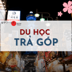 du-hoc-tra-gop-deow-vietnam