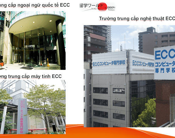 Trường ECC Với Chuyên Ngành Làm Đẹp Và Ngành IT Nhật Bản
